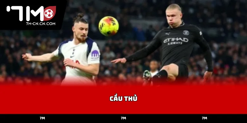 Phân tích chỉ số kỹ thuật và phong độ cầu thủ